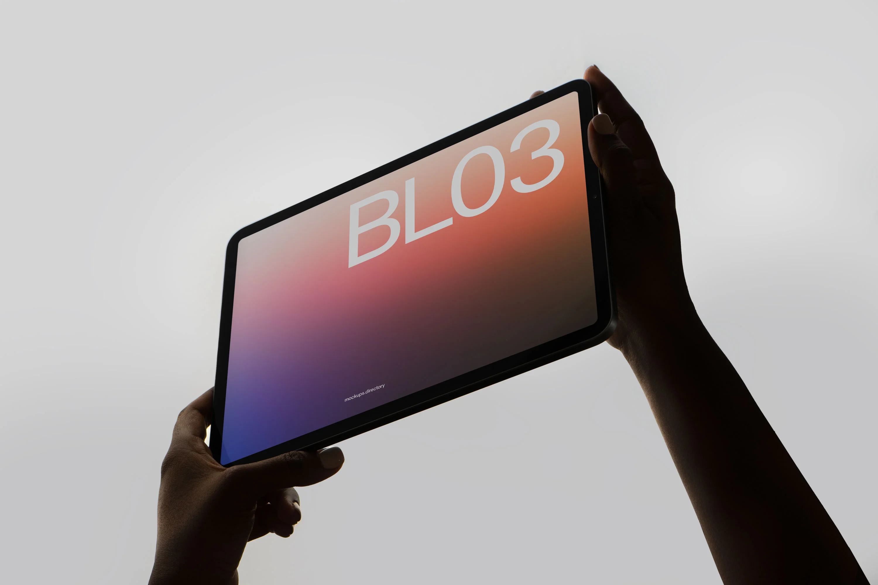 BL03 — iPad Pro - Image 2