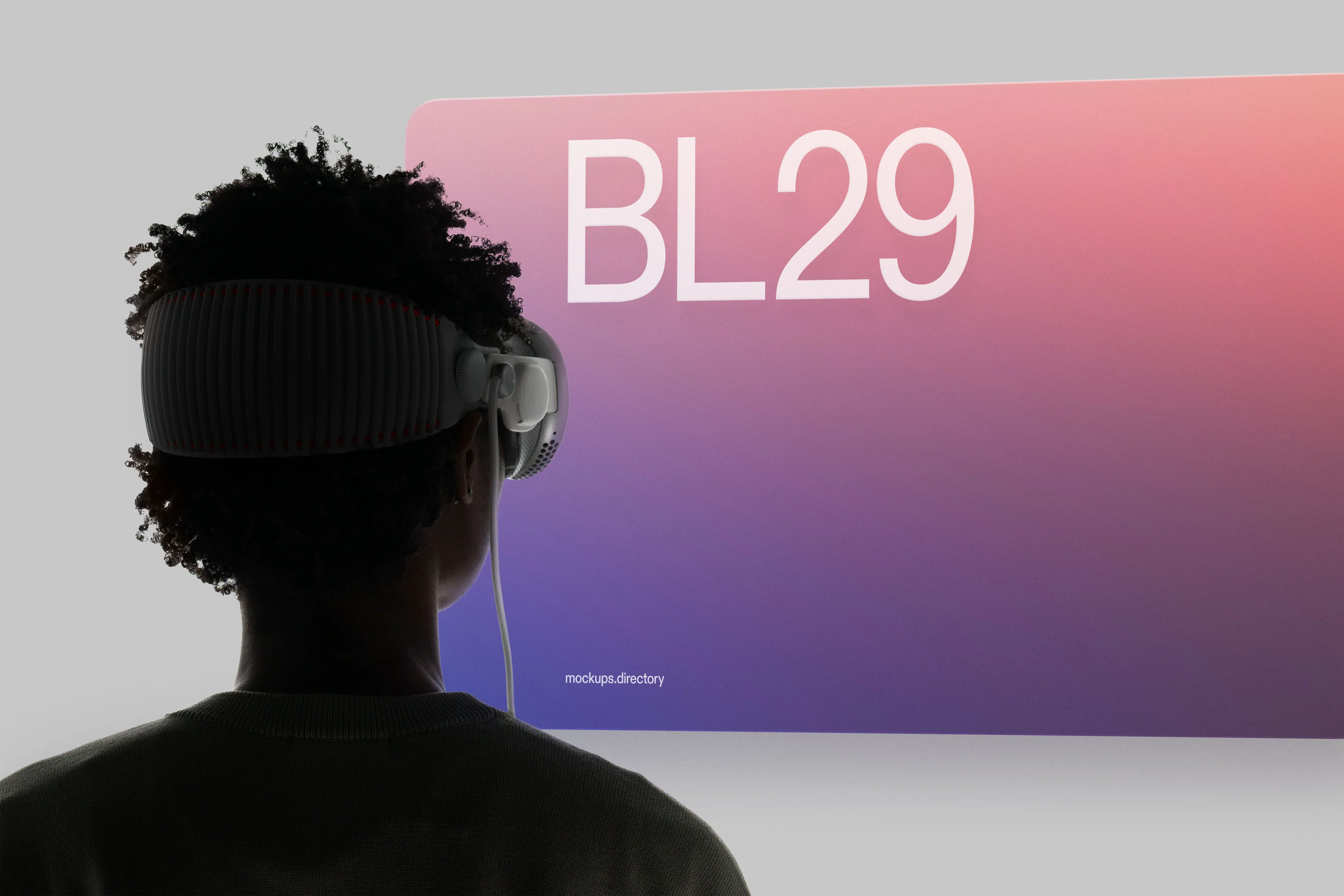 BL29 — Vision Pro - Image 2