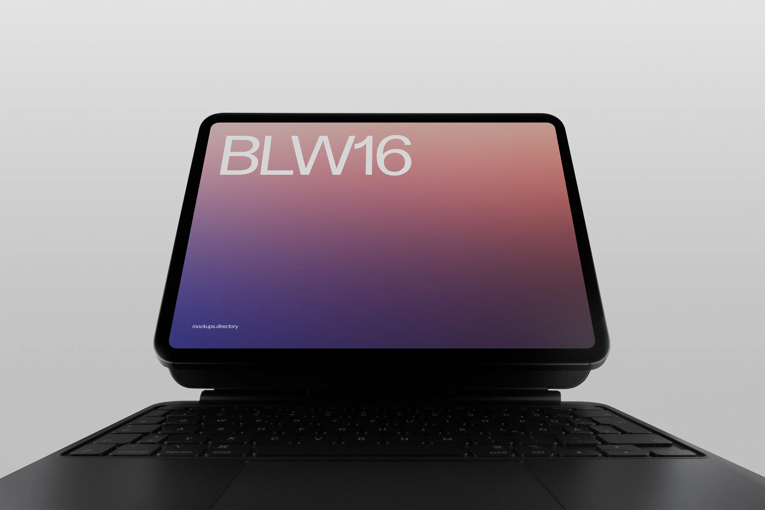 BLW16 — iPad Pro - Image 2