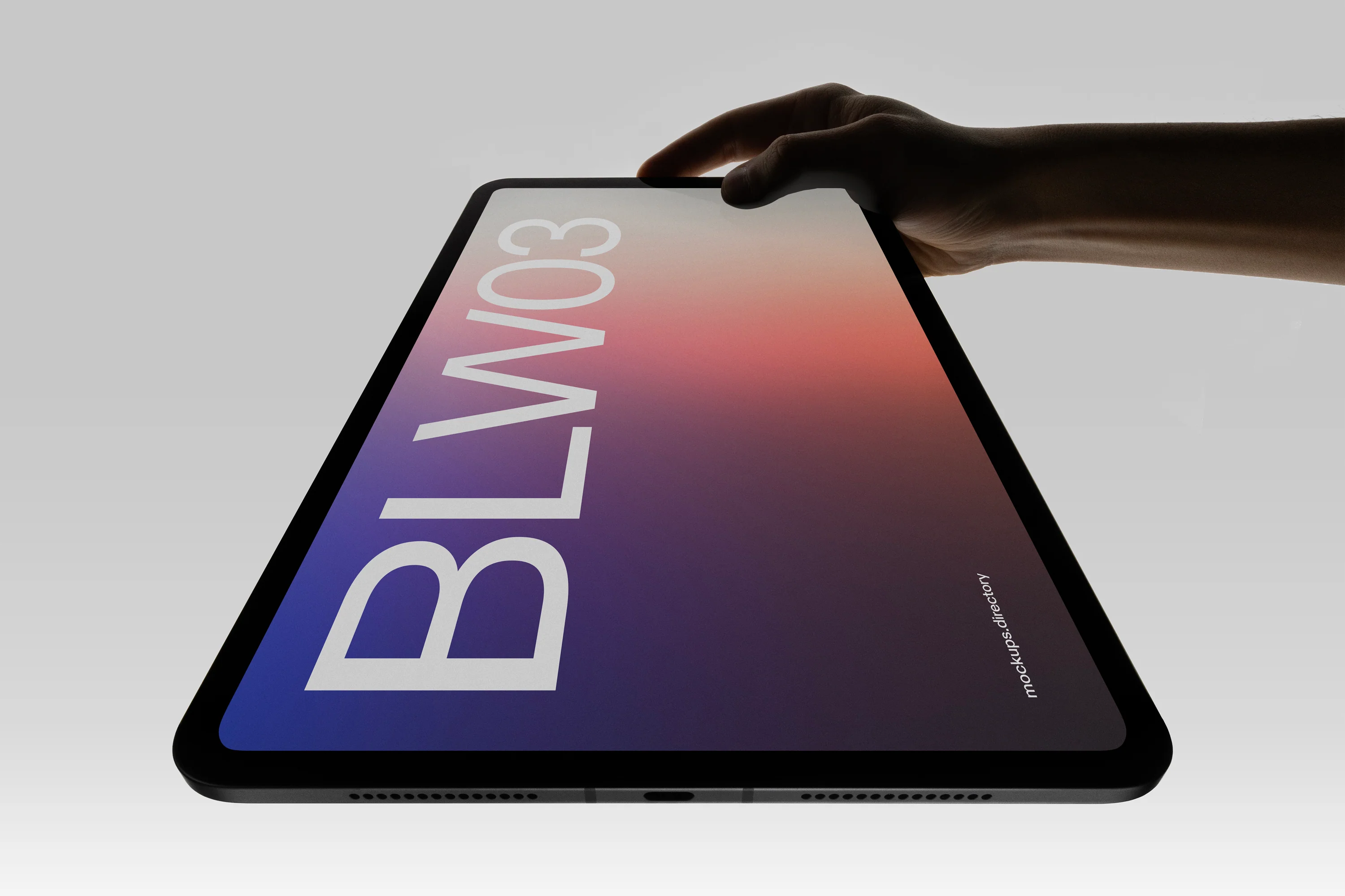 BLW03 — iPad Pro - Image 2