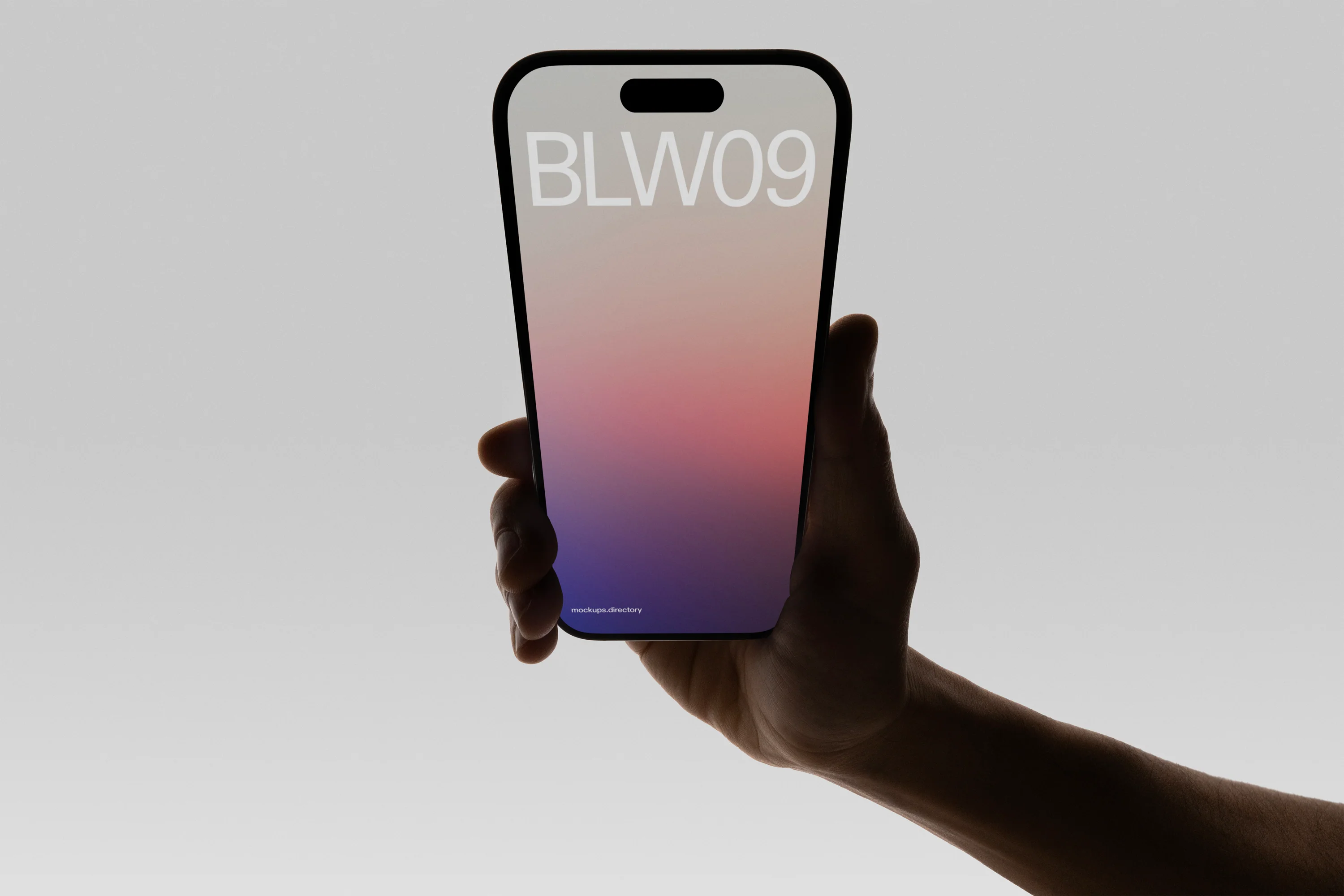 BLW09 — iPhone 16 Pro - Image 2