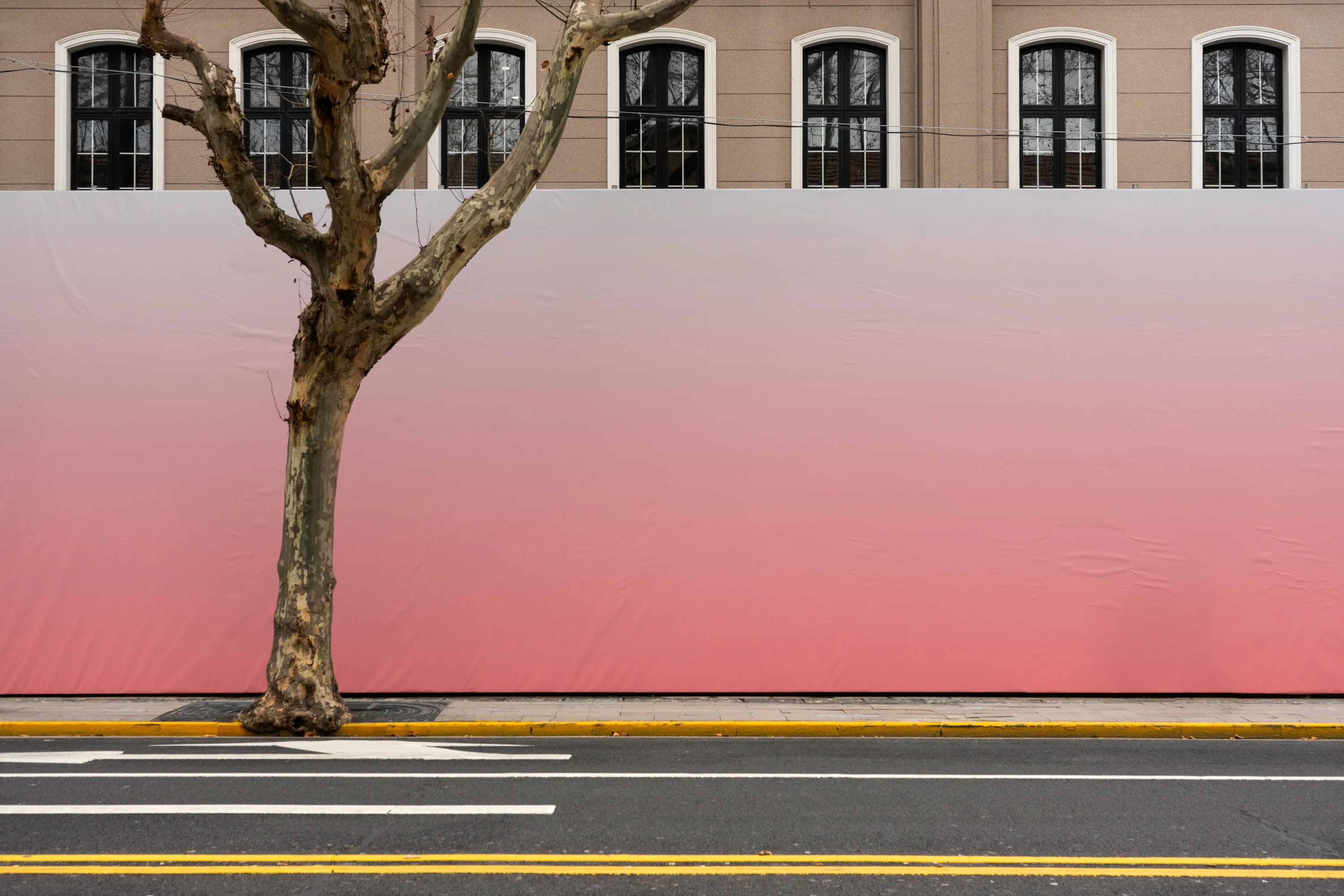 MT22 — Banner