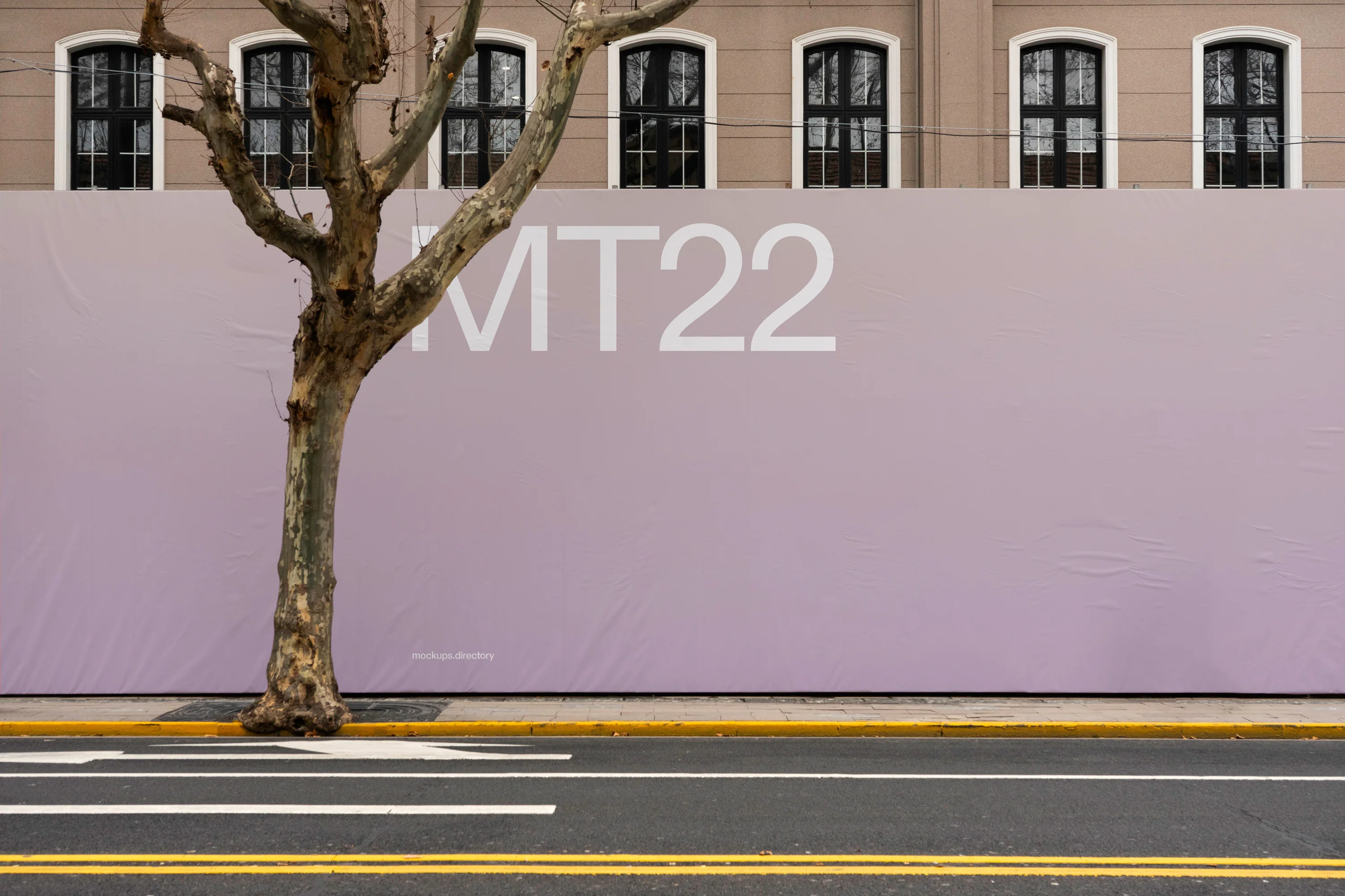 MT22 — Banner - Image 2