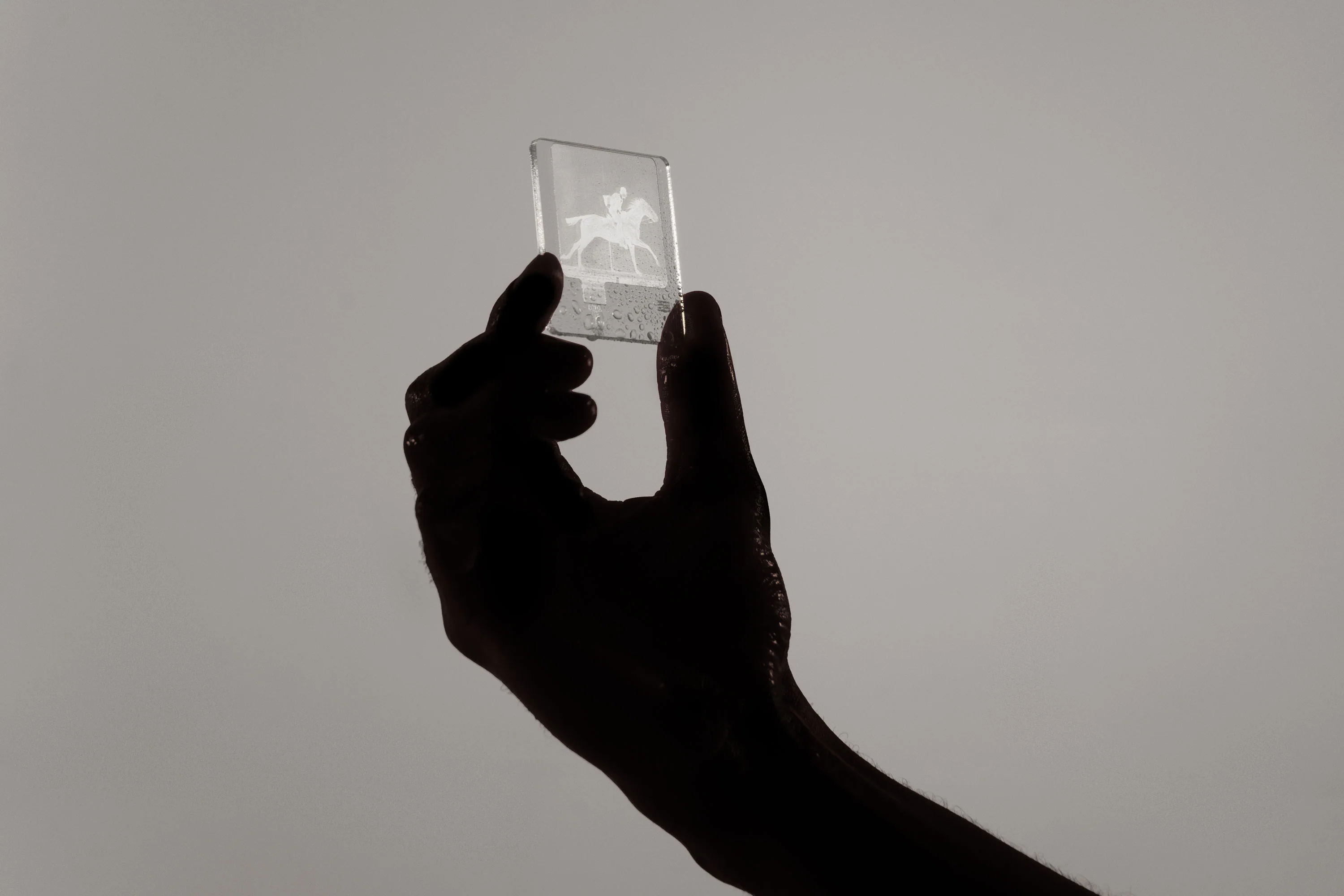 SIL20 — Digital Slide