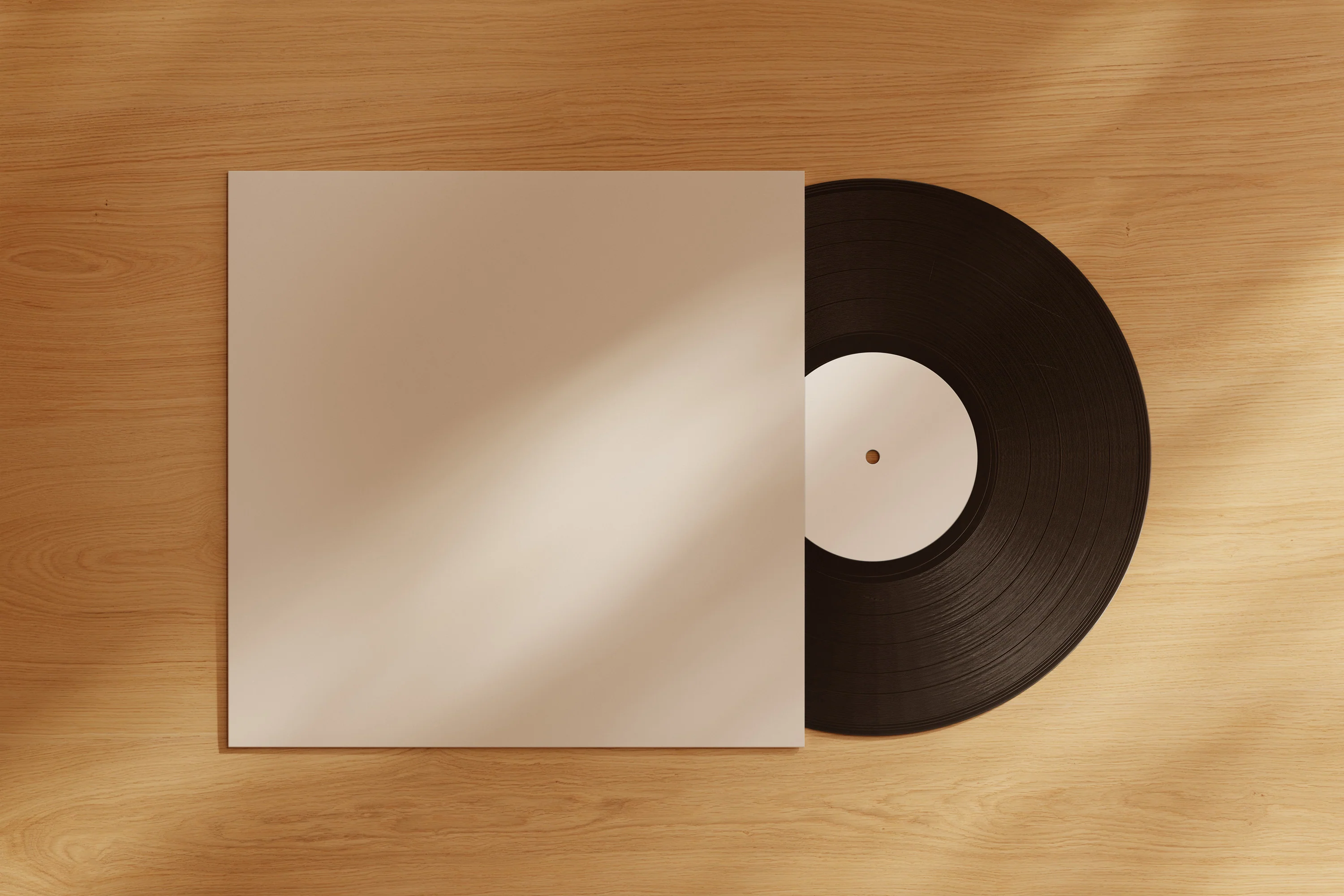 SOM29 — Vinyl