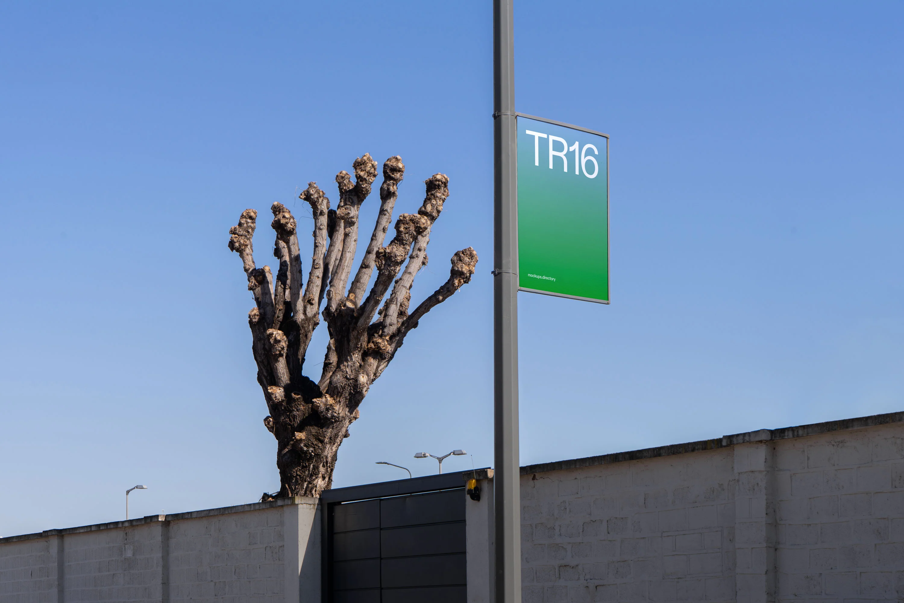 TR16 — Street Pole and Tree - Image 2
