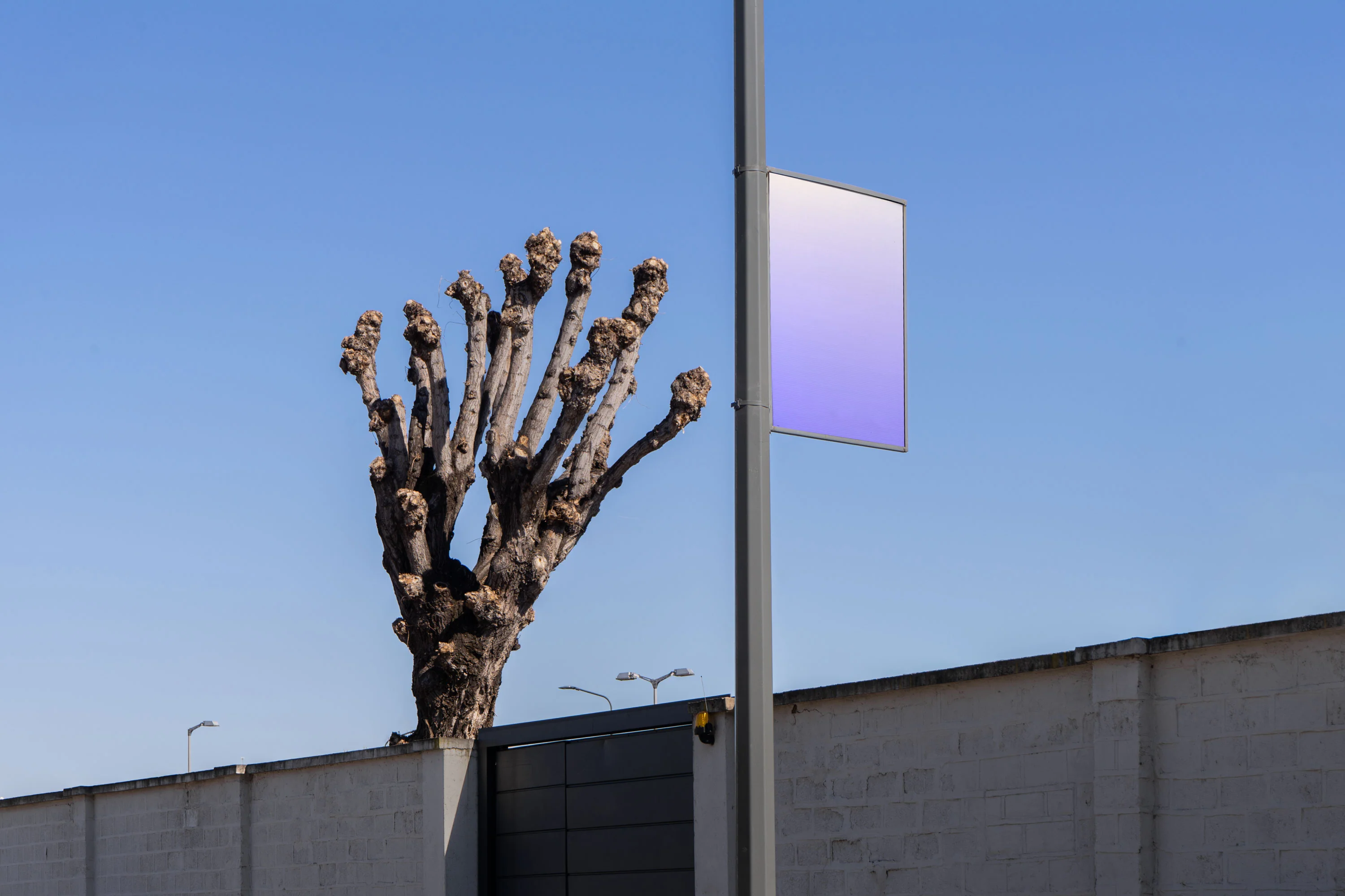 Transit Collection - Image 7